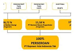 Pemegang Saham Dbs Indonesia